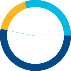 Treatment history chart